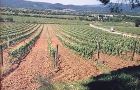 农场 – 葡萄牙，Alentejo Region，Evora. 2,000,000€