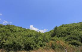 土地 – 黑山，科托尔，Radanovici. 2,600,000€